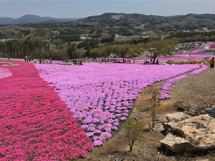 の投稿画像8枚目