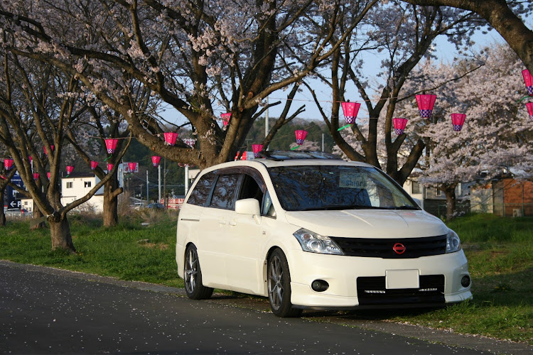 プレサージュのプレサージュtu31・桜とコラボ🌸・サクラージュ・🌸桜とコラボ・🌸を探してに関するカスタム事例の投稿画像5枚目