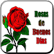 Rosas de Buenos Dias