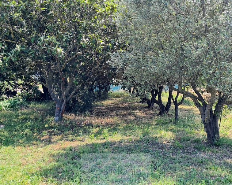 Vente terrain  1678 m² à Garrigues-Sainte-Eulalie (30190), 169 000 €