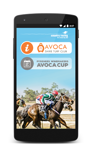 Avoca Races