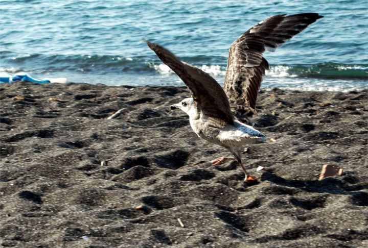 A passeggio... di cyby