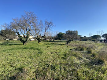 terrain à Les Matelles (34)