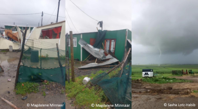 Damage caused by the EF-1 Landspout near Morningstar Airfield, Cape Farms.