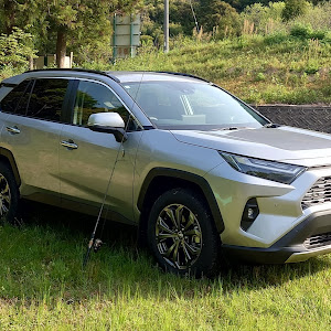 RAV4 AXAH54