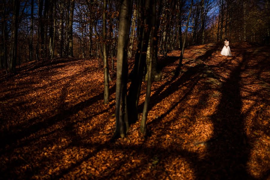 Bryllupsfotograf Andy Casota (casotaandy). Bilde av 28 november 2018