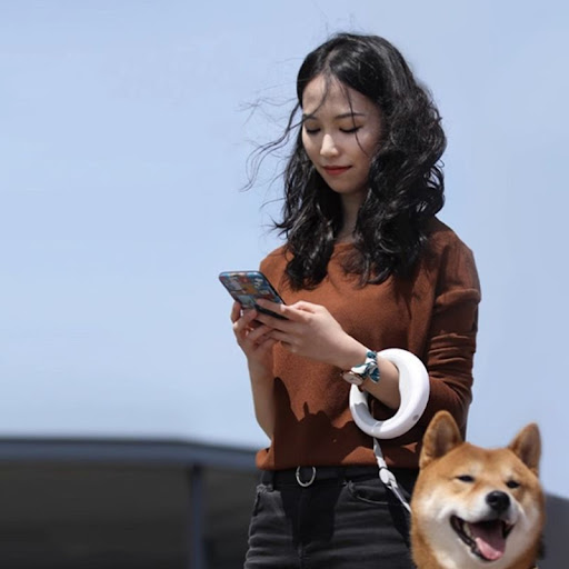 Title 1, Cute Dog Automatic Retractable Dog Hand Holding...