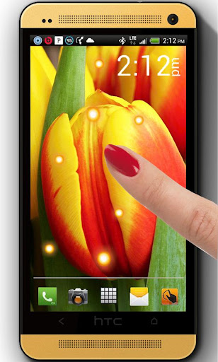 免費下載個人化APP|Yellow Orange Tulips LWP app開箱文|APP開箱王