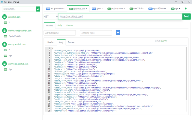 REST Client APIsHub Preview image 1