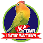 Lovebird Therapy Does not Want to Beep  Icon