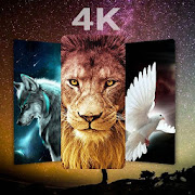 Animals 4K HD Wallpapers 2019  Icon