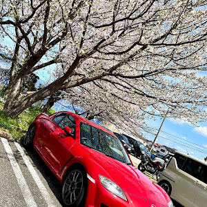 RX-8 SE3P