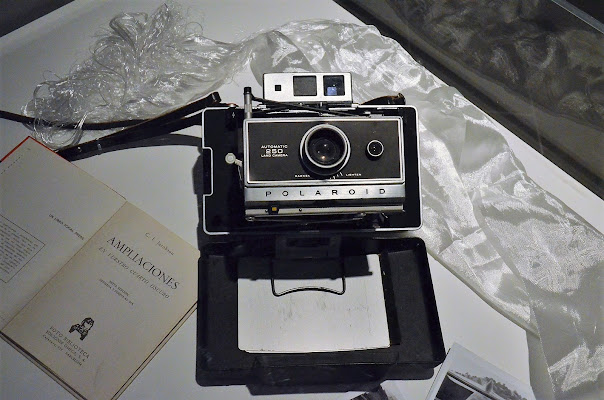 Polaroid Land Camera di Michele Sersale