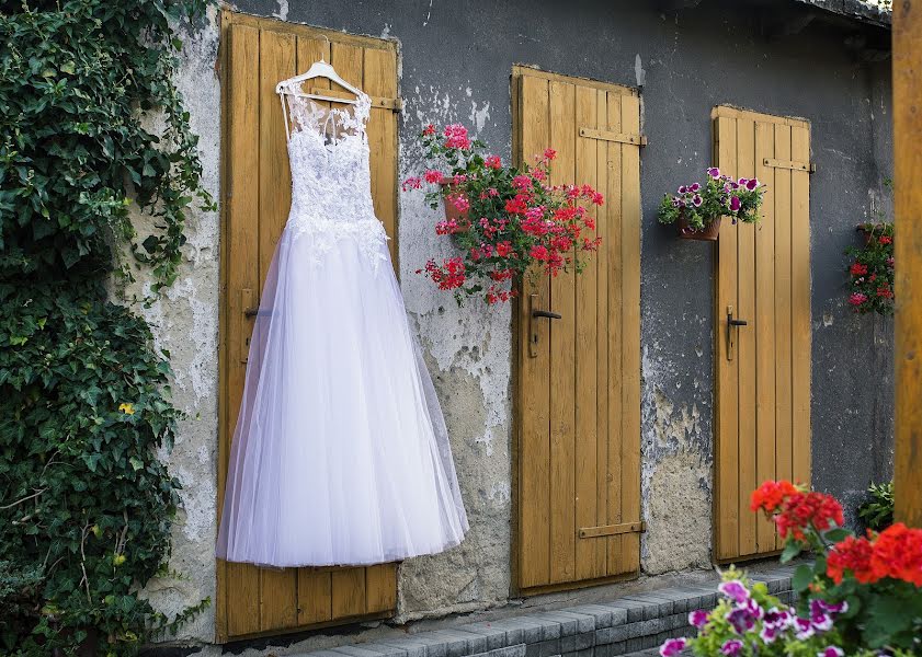 Wedding photographer Kateřina Černínová (cerninova). Photo of 7 May 2019