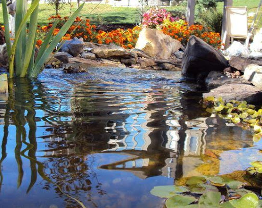 Fish Pond Design Ideas