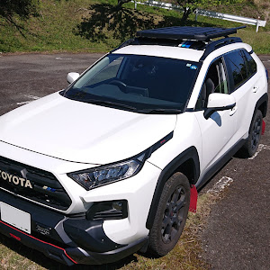 RAV4 MXAA54