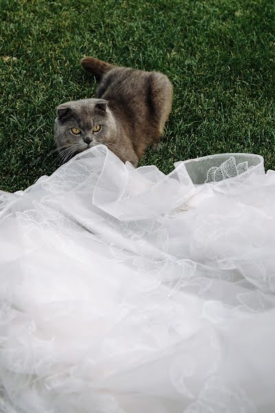 Wedding photographer Andrey Tokarev (racries). Photo of 9 February