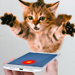 Cover Image of Download Laser Cat Simulator 1.0 APK