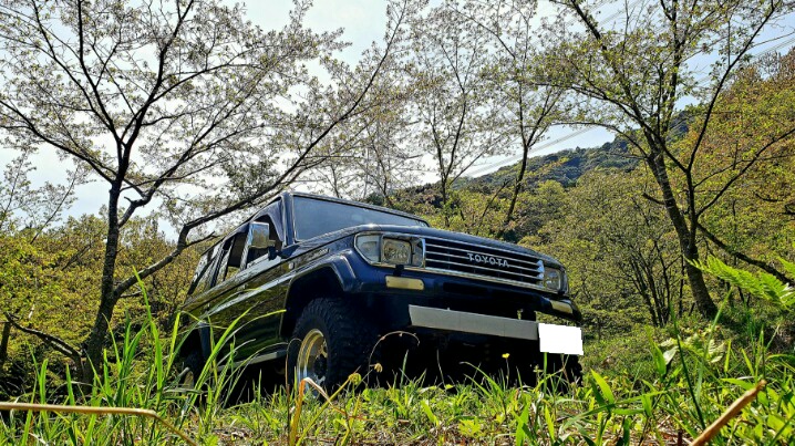 ランドクルーザープラドの撮影・散り桜・ドライブ・楓コラボに関するカスタム事例の投稿画像2枚目