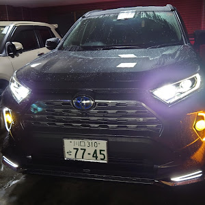 RAV4 AXAH54