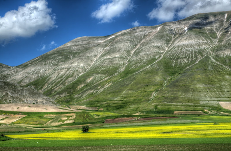 SEGNI di TERRA. di matteo_maurizio_mauro