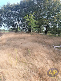 terrain à Saint emilien de blain (44)