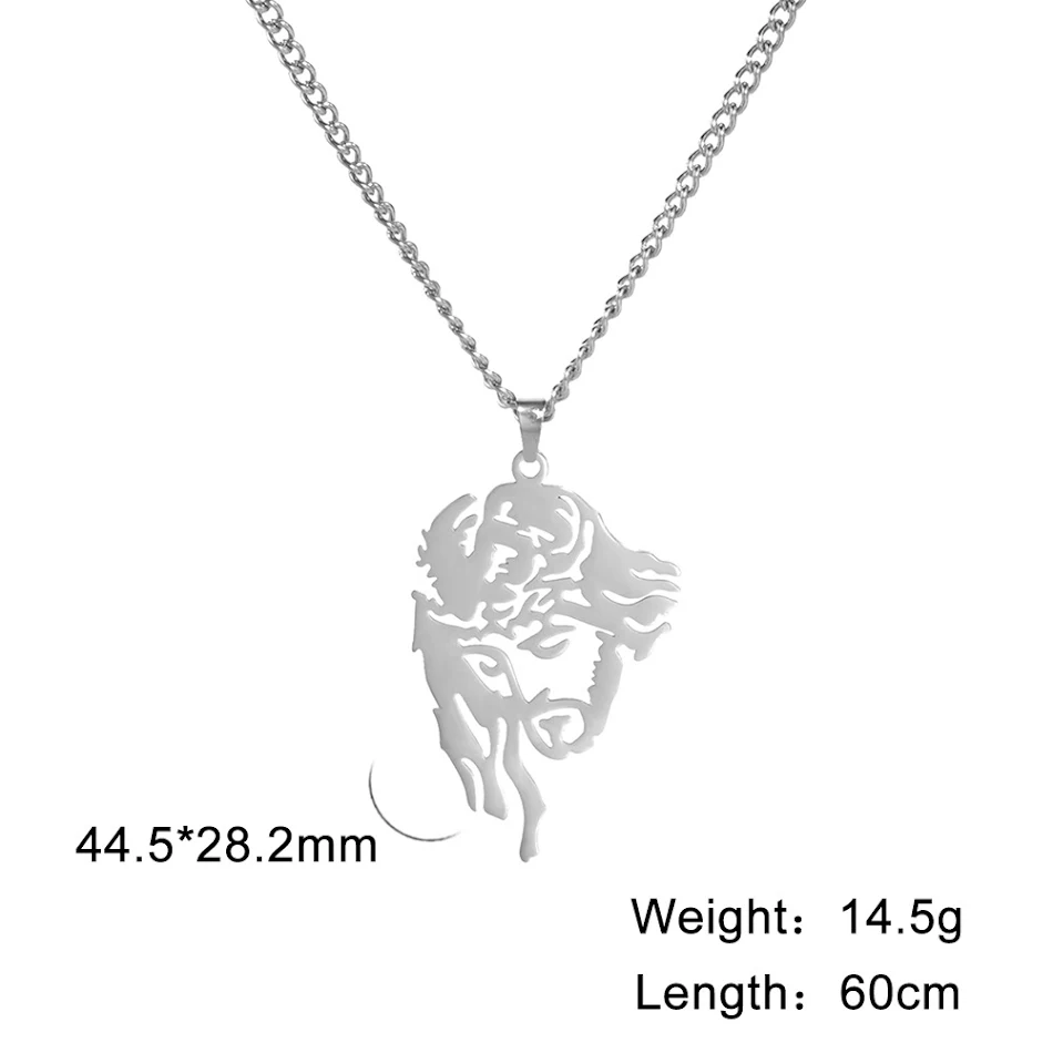 Titanium stalen hanger ketting. Modieuze roestvrijstalen ketting voor dames en heren. Duurzame waterdichte sieraden.