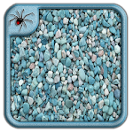 Garden Stones Texture Ideas Apk