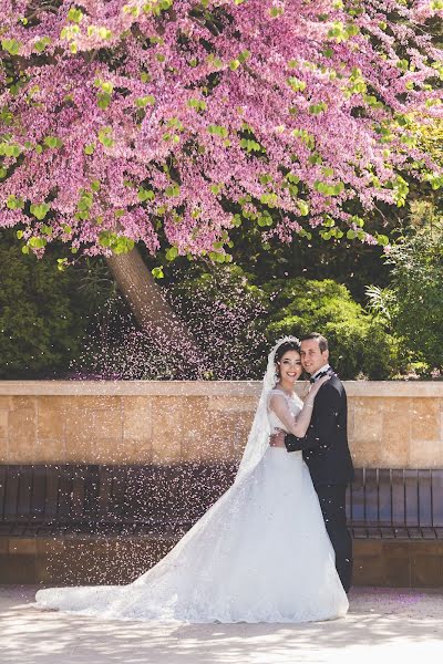 Wedding photographer Mamed Mamedov (mamed086). Photo of 14 June 2017