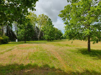 terrain à Labastide-Saint-Pierre (82)