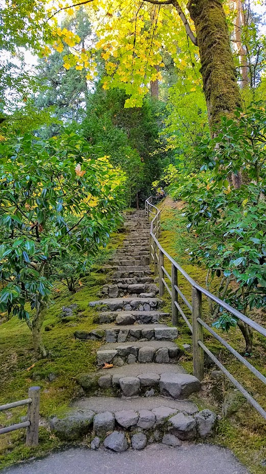 Fall at the Portland Japanese Garden, visiting for Autumn Portland Japanese Garden fall foliage photos on October 2017