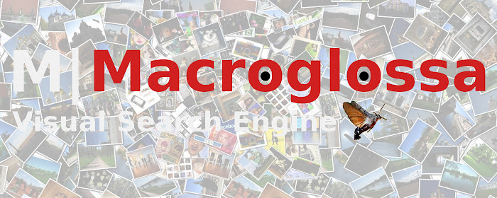 Macroglossa - Visual Search Plugin marquee promo image