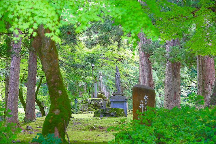 の投稿画像27枚目