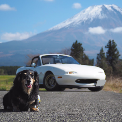 28mikan のプロフィール画像