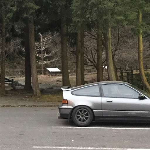 Noriのプロフィール画像