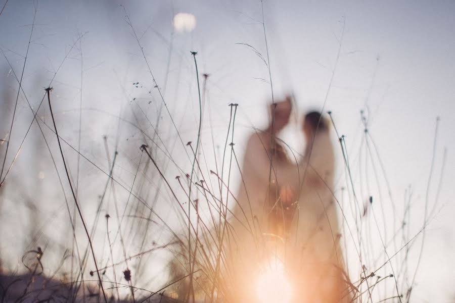 Fotografo di matrimoni Stas Novikov (novikov). Foto del 18 febbraio 2015