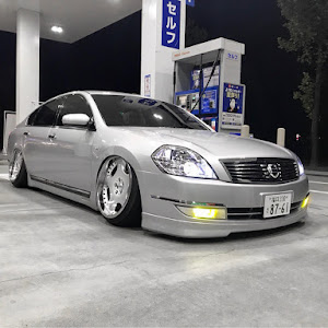 ティアナ J31