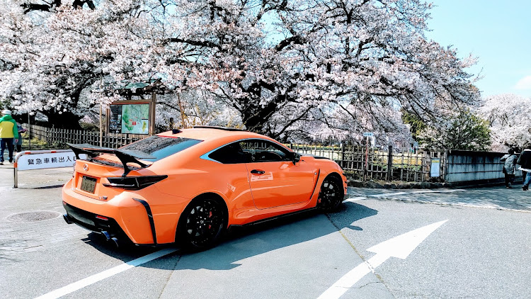 RC Fのレクサス・RC F・桜と愛車・コロナウイルスに負けるな・ヤクザ止めに関するカスタム事例の投稿画像1枚目