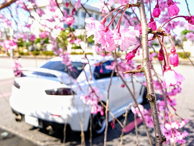 ランサーエボリューションの桜とコラボ・富山県・ピックアップ一度でも載ってみたい・スマホ撮影の限界に関するカスタム事例の投稿画像3枚目