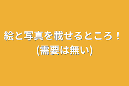 絵と写真を載せるところ！  (需要は無い)