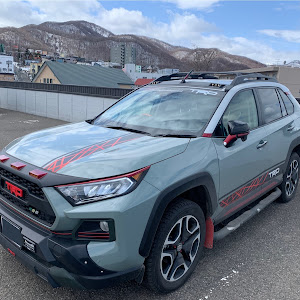 RAV4 MXAA54