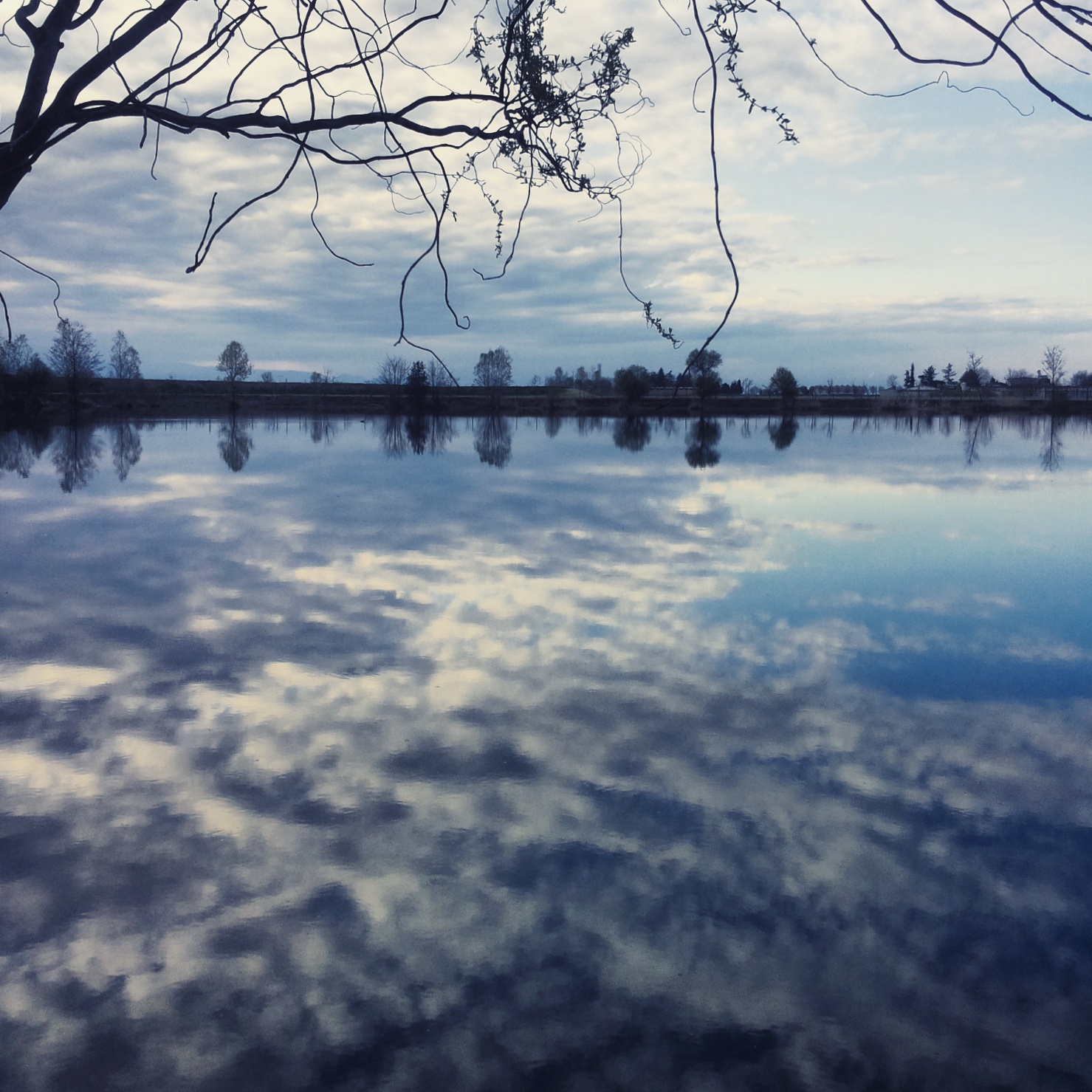 Il cielo sottosopra. di elebuba