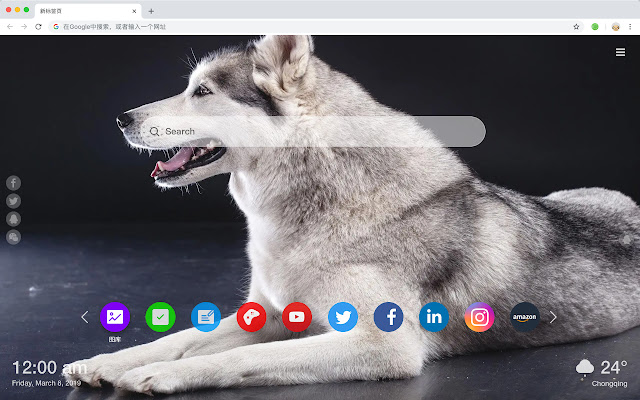 Siberian Husky Popular Pets HD New Tabs Theme