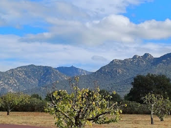 terrain à Palau-del-Vidre (66)