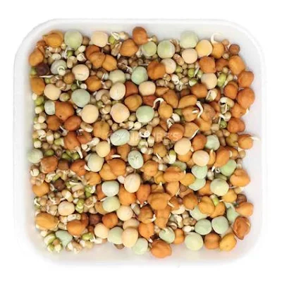 Sprouts Mixed Pkt - 1 pc