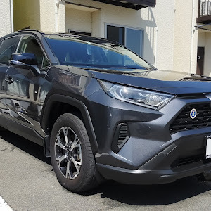 RAV4 AXAH52