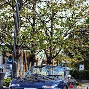 ロードスター