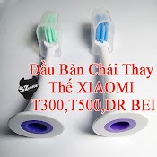 Đầu Bàn Chải Thay Thế Xiaomi Mijia T300 / T500 / Dr - Bei / T100