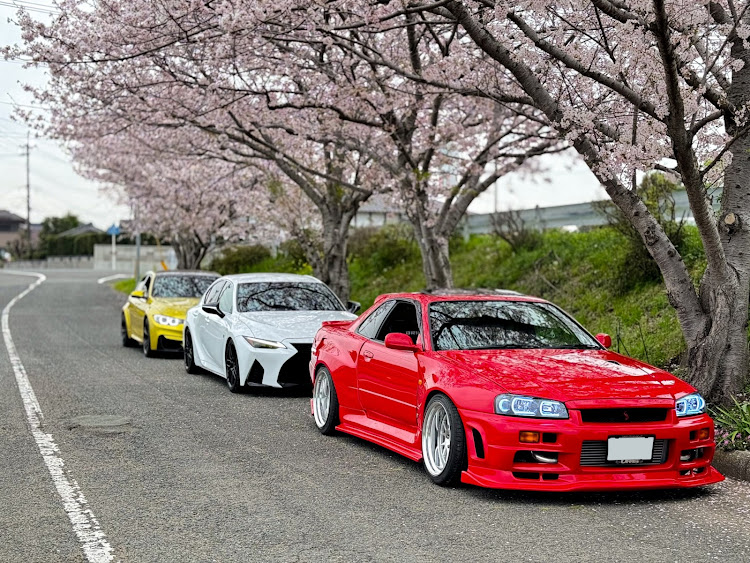 ISのサクラと愛車・ASE30・M3・ER34・桜並木と愛車に関するカスタム事例の投稿画像2枚目