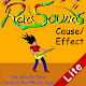 RadSounds: Cause/Effect Lite Install on Windows